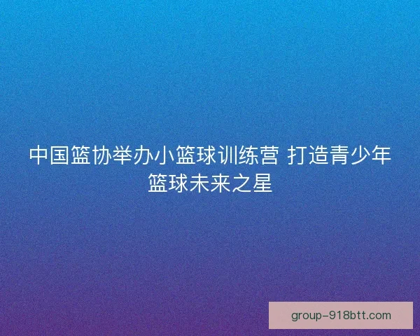 中国篮协举办小篮球训练营 打造青少年篮球未来之星